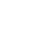 news-briefing-reports-nsvss