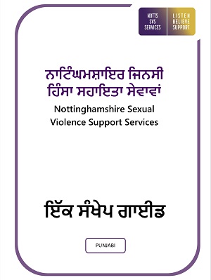 Punjabi-Guide-to-Service