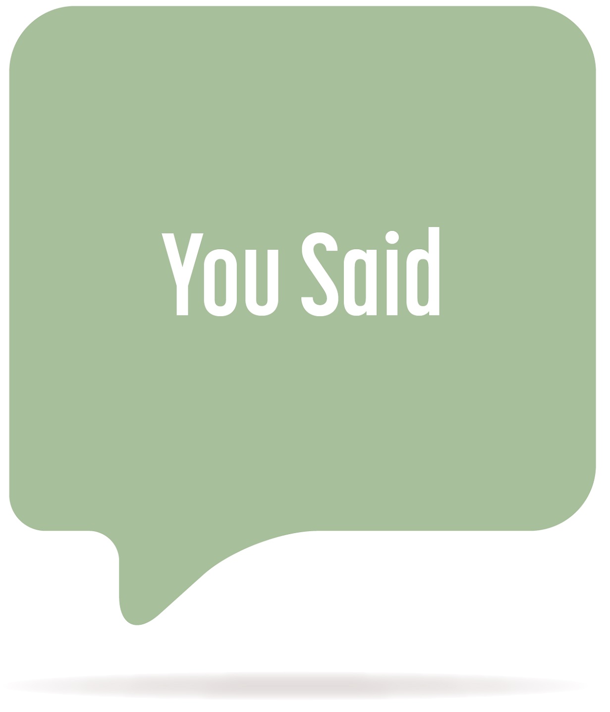 'You Said' written in a green speech bubble